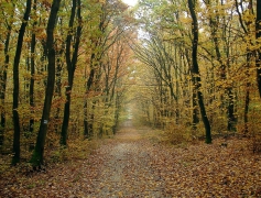 Ha hétvége, akkor Natúrpark